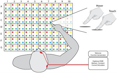 Effect of touch on proprioception: non-invasive trigeminal nerve stimulation suggests general arousal rather than tactile-proprioceptive integration